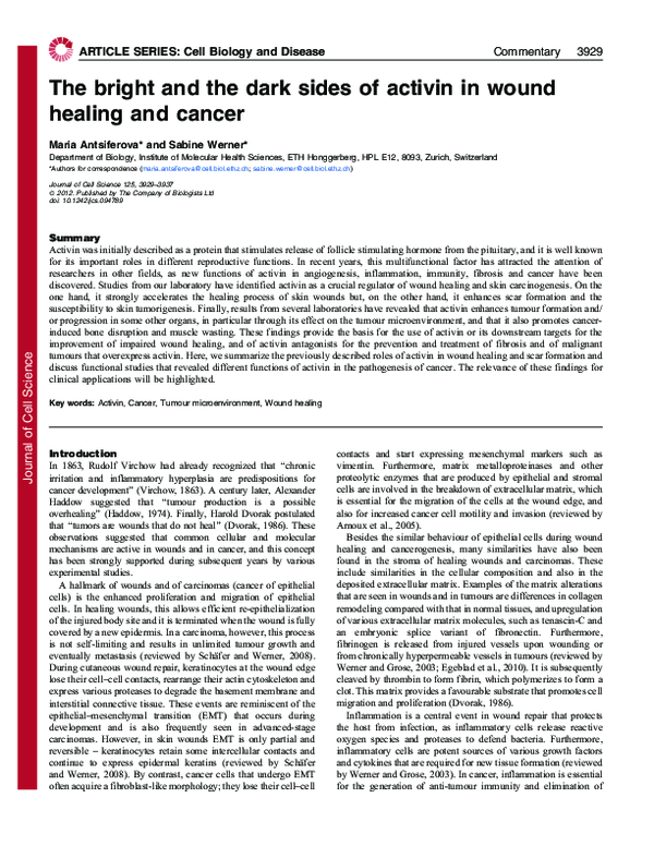 (PDF) The bright and the dark sides of activin in wound healing and cancer