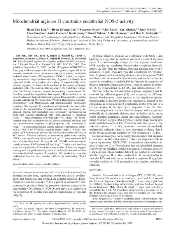 (PDF) Mitochondrial arginase II constrains endothelial NOS-3 activity