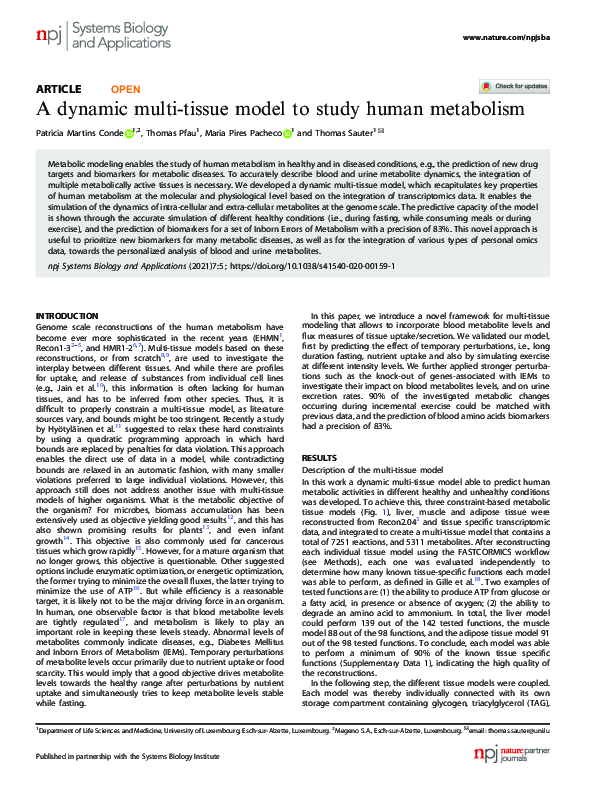 (PDF) A dynamic multi-tissue model to study human metabolism