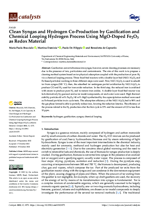 (PDF) Clean Syngas and Hydrogen Co-Production by Gasification and ...