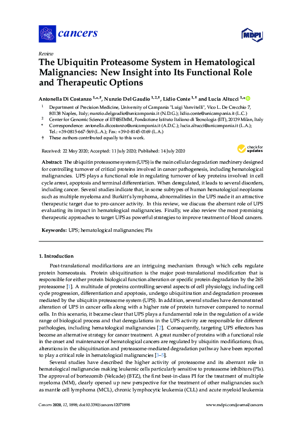 (PDF) The Ubiquitin Proteasome System in Hematological Malignancies ...