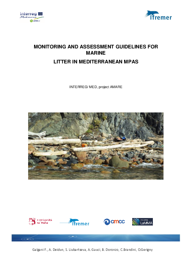 (PDF) Monitoring and Assessment guidelines for Marine Litter in ...