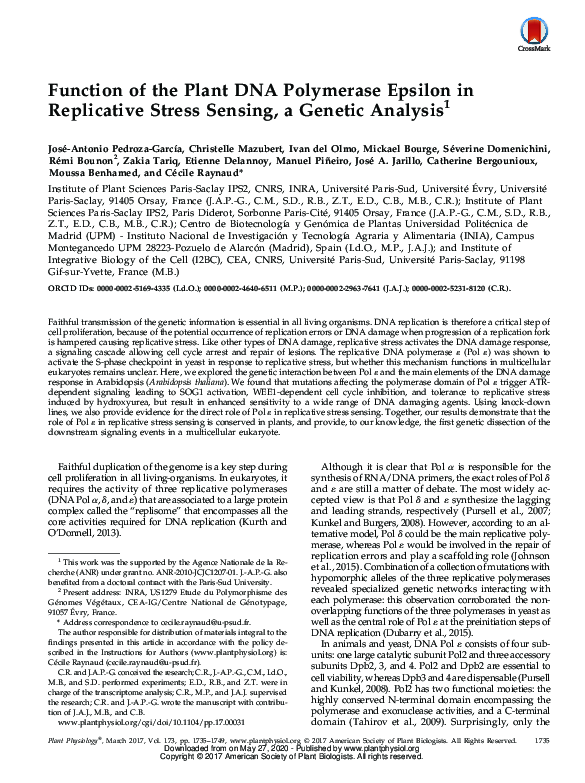 (PDF) Function of the Plant DNA Polymerase Epsilon in Replicative