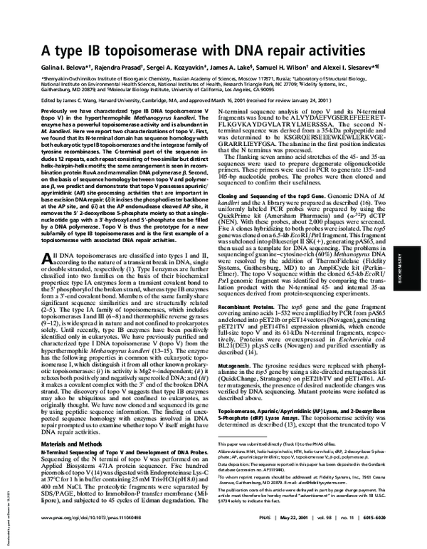 (PDF) A type IB topoisomerase with DNA repair activities