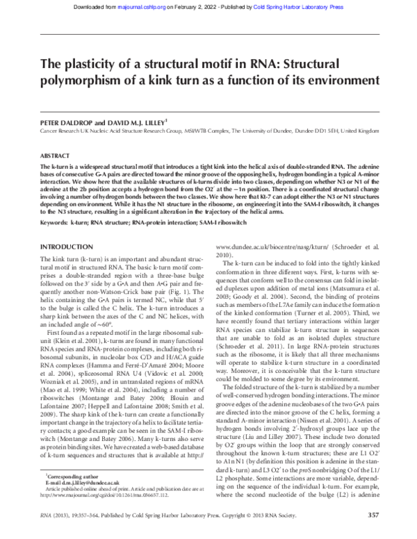 (PDF) The plasticity of a structural motif in RNA: Structural ...
