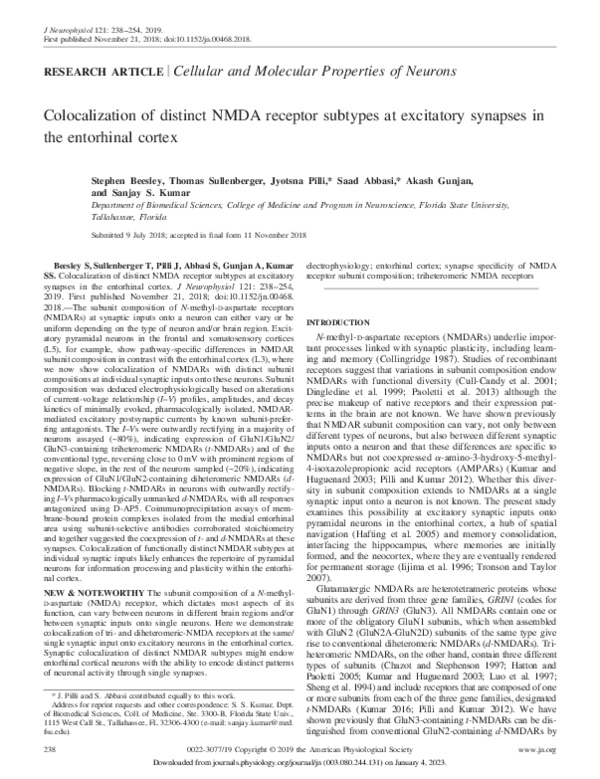 (PDF) Co-localization of Distinct NMDA Receptor Subtypes at Excitatory ...