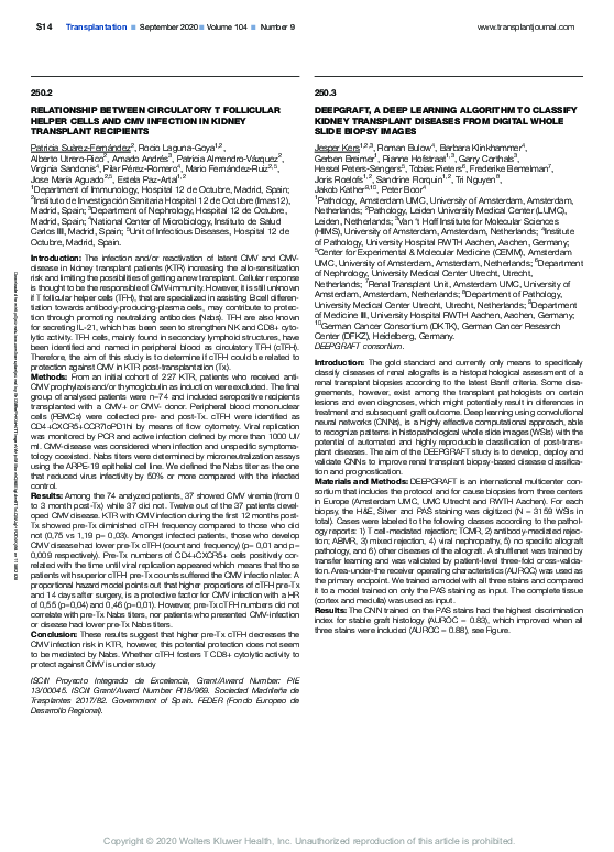 Deepgraft, a Deep Learning Algorithm to Classify Kidney Transplant Diseases from Digital Whole Slide Biopsy Images