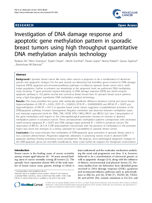 (PDF) Investigation of DNA damage response and apoptotic gene ...