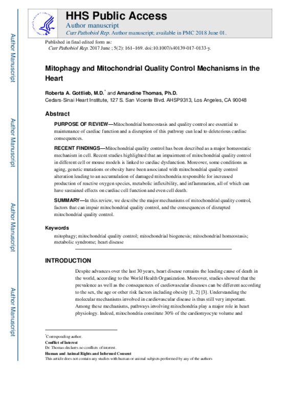 (PDF) Mitophagy and Mitochondrial Quality Control Mechanisms in the Heart