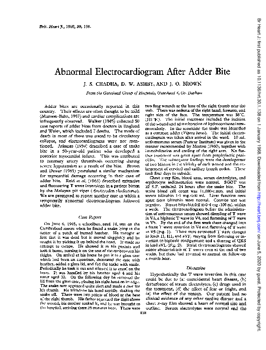 Abnormal electrodiogram after adder bite
