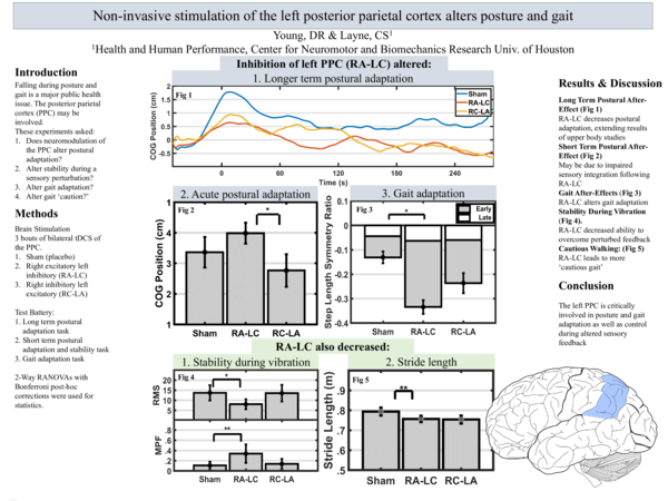 (PDF) Non-invasive stimulation of the left posterior parietal cortex ...