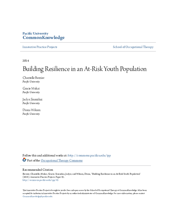 (PDF) Building Resilience in an At-Risk Youth Population