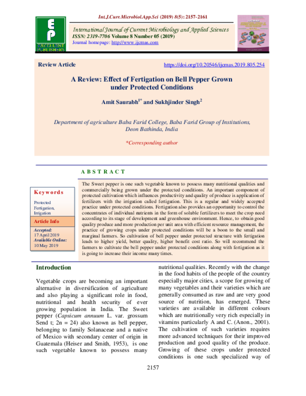 (PDF) A Review: Effect of Fertigation on Bell Pepper Grown under ...