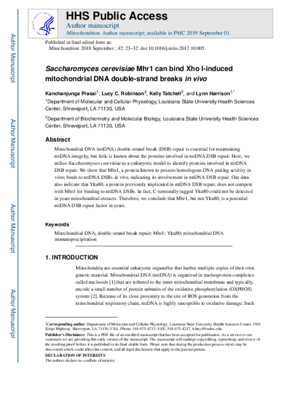 (PDF) Saccharomyces cerevisiae Mhr1 can bind Xho I-induced ...