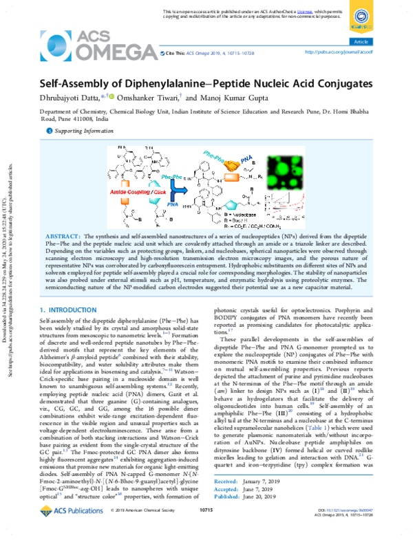 (PDF) Self-Assembly of Diphenylalanine–Peptide Nucleic Acid Conjugates