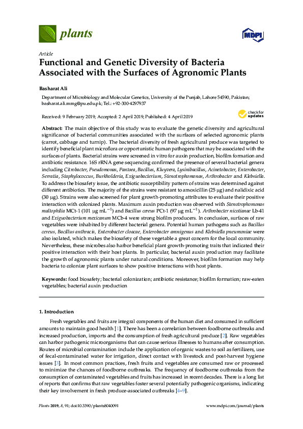(PDF) Functional and Genetic Diversity of Bacteria Associated with the ...