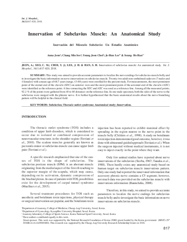 (PDF) Innervation of Subclavius Muscle: An Anatomical Study