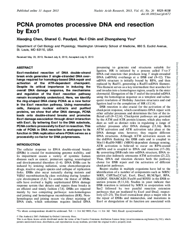 (PDF) PCNA promotes processive DNA end resection by