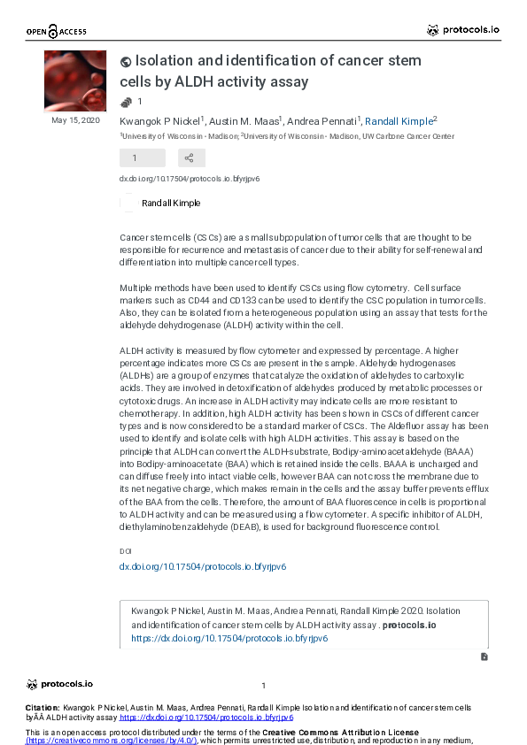 (PDF) Isolation and identification of cancer stem cells by ALDH ...