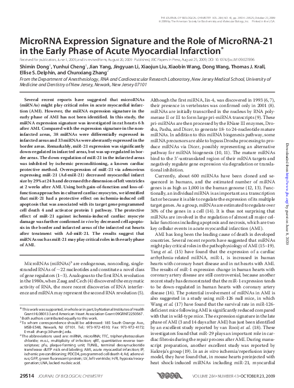 (PDF) MicroRNA Expression Signature and the Role of MicroRNA-21 in the ...