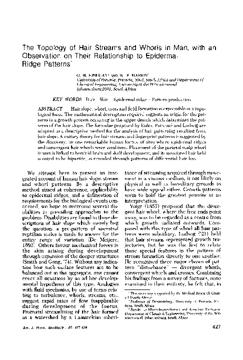 (PDF) The topology of hair streams and whorls in man, with an ...