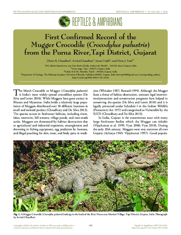 pdf-first-confirmed-record-of-mugger-crocodile-crocodylus-palustris
