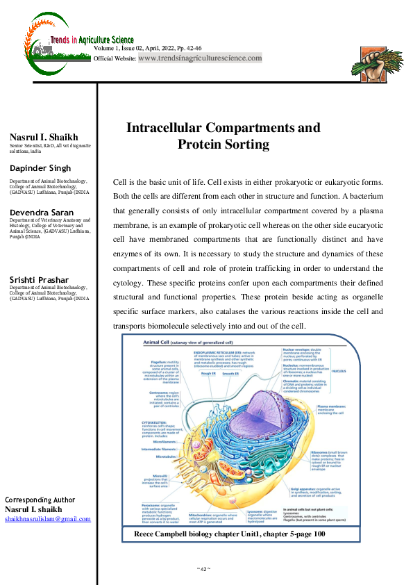 (PDF) Intracellular Compartments and Protein Sorting