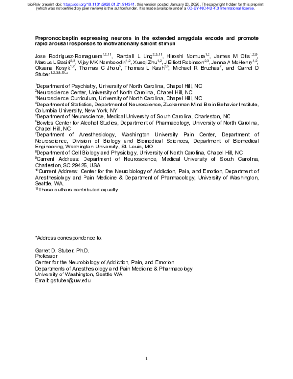 (PDF) Prepronociceptin expressing neurons in the extended amygdala ...