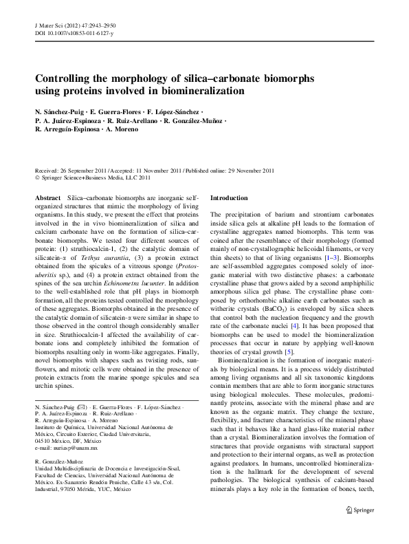 (PDF) Controlling the morphology of silica–carbonate biomorphs using ...