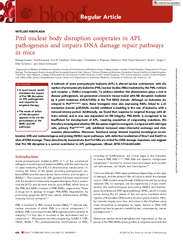 (PDF) Pml nuclear body disruption cooperates in APL pathogenesis and ...