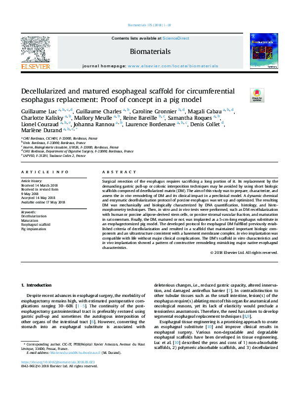 (PDF) Decellularized and matured esophageal scaffold for ...