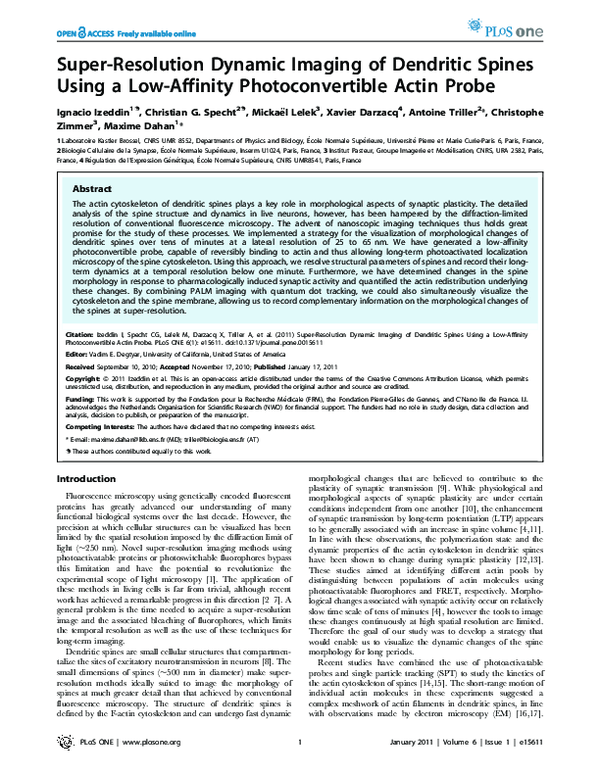 (PDF) Super-Resolution Dynamic Imaging of Dendritic Spines Using a Low ...