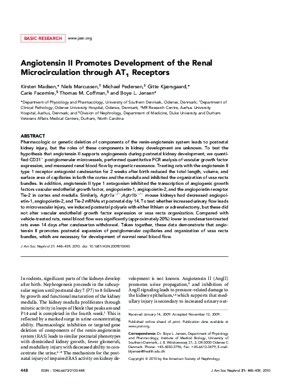 (PDF) Angiotensin II Promotes Development of the Renal Microcirculation ...