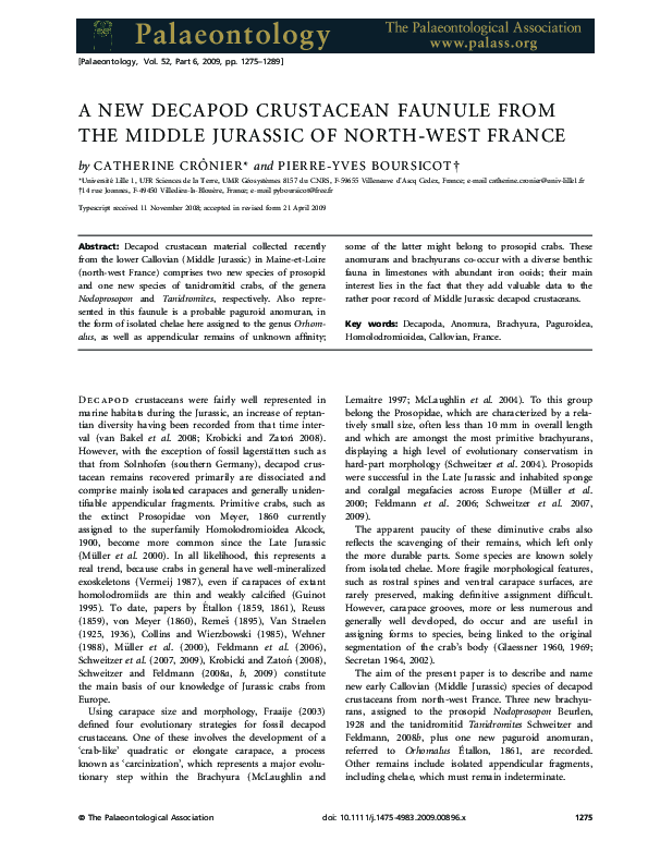 (PDF) A new decapod crustacean faunule from the Middle Jurassic of ...