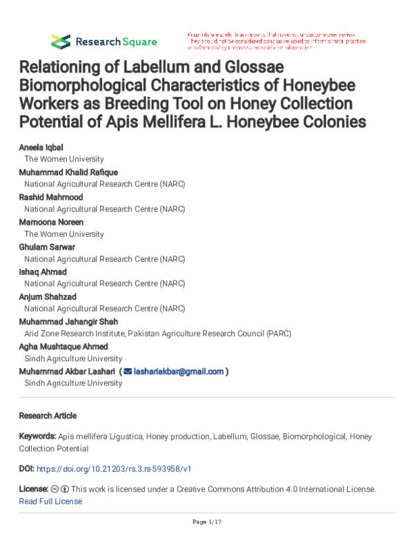 (PDF) Relationing of Labellum and Glossae Biomorphological ...