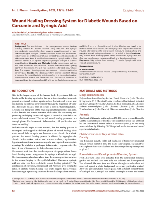 (PDF) Wound Healing Dressing System for Diabetic Wounds Based on ...