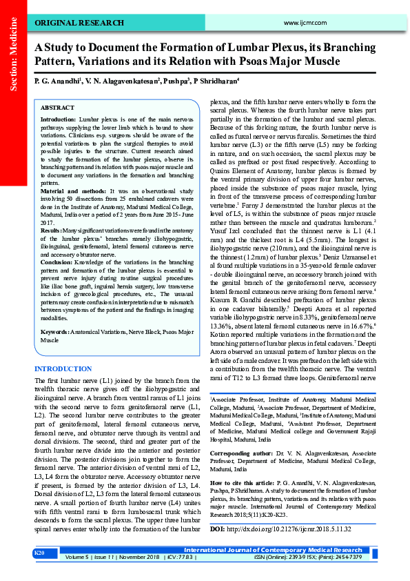 (PDF) A Study to Document the Formation of Lumbar Plexus, its Branching ...