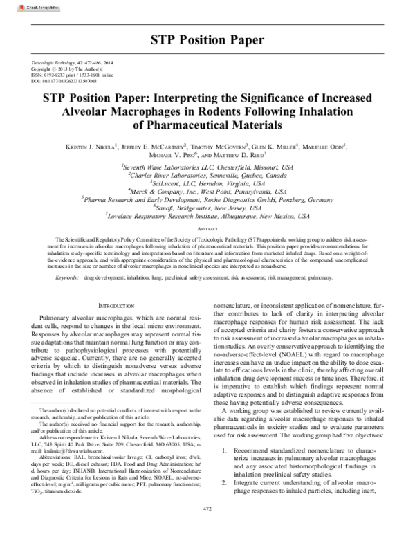 (PDF) STP Position Paper