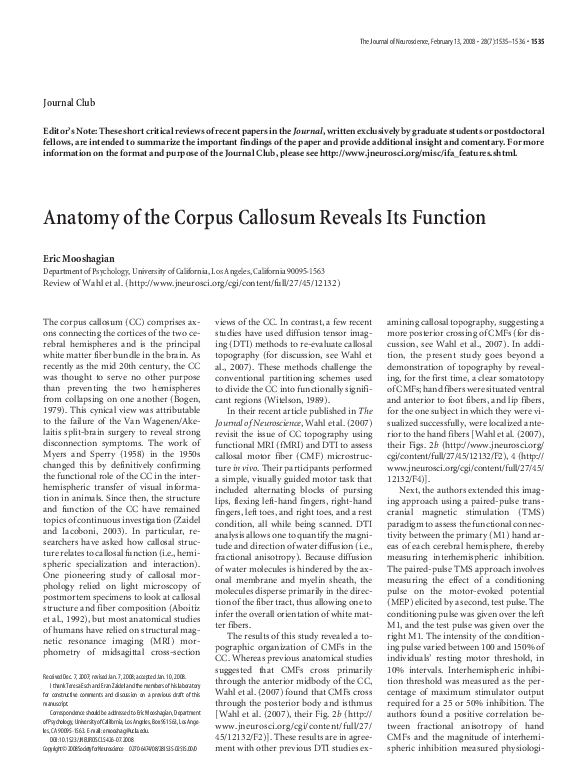 (PDF) Anatomy of the Corpus Callosum Reveals Its Function