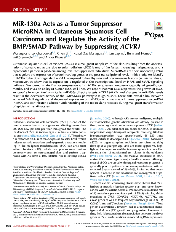 (PDF) MiR-130a Acts as a Tumor Suppressor MicroRNA in Cutaneous ...