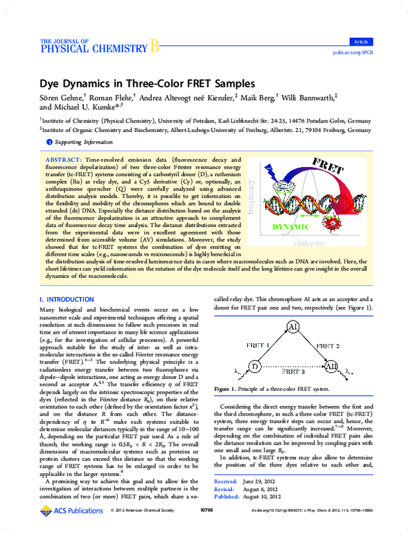 (PDF) Dye Dynamics in Three-Color FRET Samples