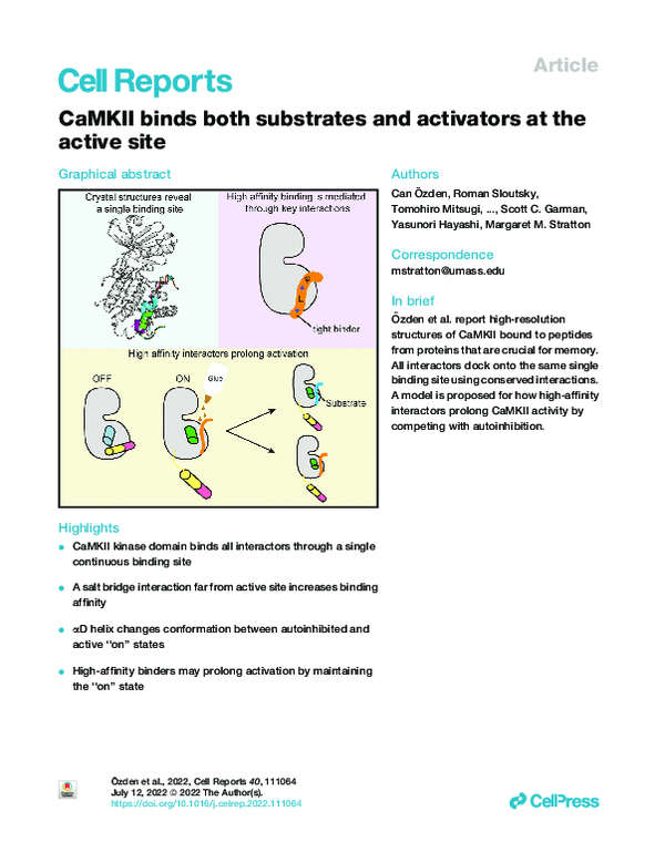 (PDF) CaMKII binds both substrates and activators at the active site