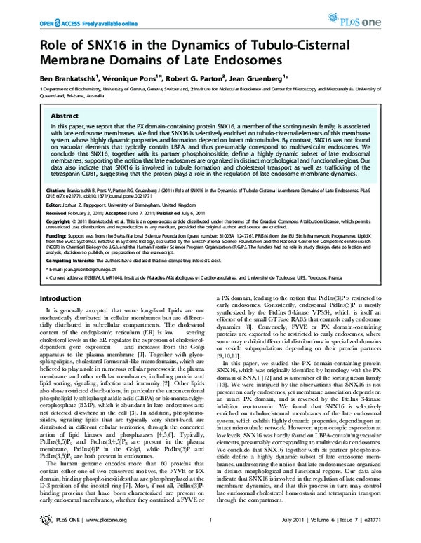 (PDF) Role of SNX16 in the Dynamics of Tubulo-Cisternal Membrane ...