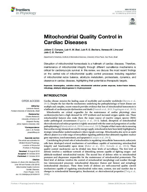 (PDF) Mitochondrial Quality Control in Cardiac Diseases