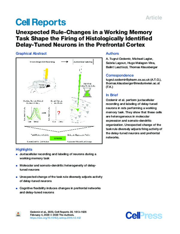 (PDF) Unexpected Rule-Changes in a Working Memory Task Shape the Firing ...