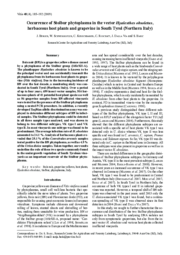 (PDF) Occurrence of Stolbur phytoplasma in the vector Hyalesthes ...