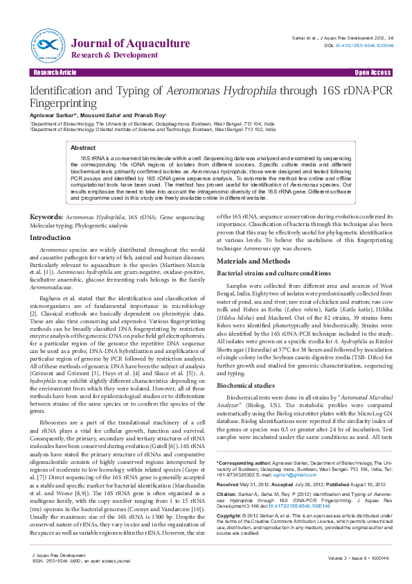 (PDF) Identification and Typing of Aeromonas Hydrophila through 16S ...