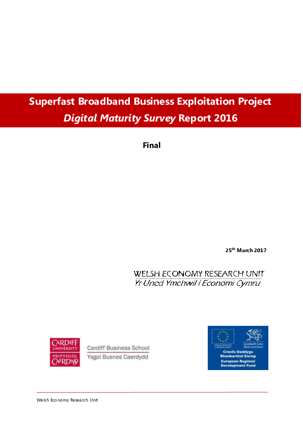 (PDF) Digital maturity survey for Wales 2016