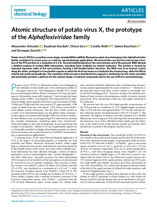 (PDF) Atomic structure of potato virus X, the prototype of the