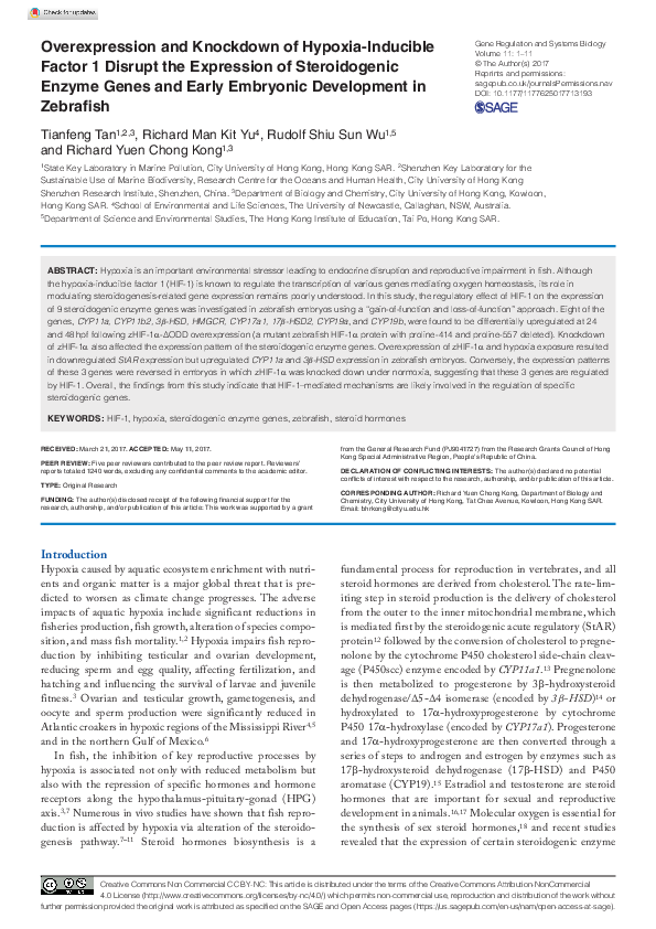 (PDF) Overexpression and Knockdown of Hypoxia-Inducible Factor 1 ...